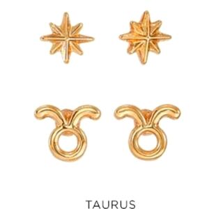 NEW! Taurus stud earrings